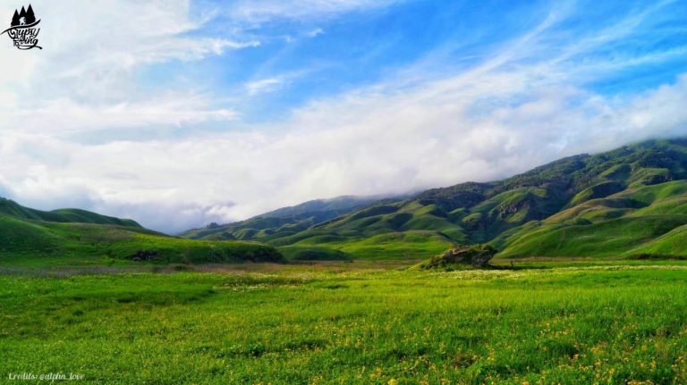 Stunning Dzukou Valley In Pictures | Story Of 4 Backpackers.