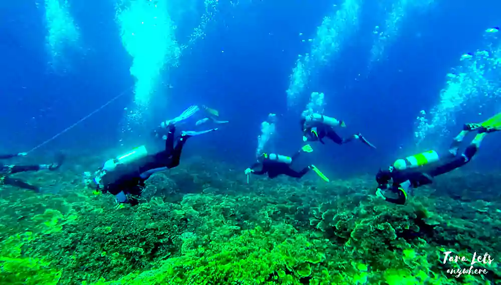 Diving in Cebu, Philippines. Adventure activities in Cebu city of Philippines.