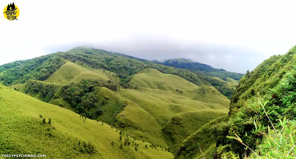 Dzukou Valley Trek by The Gypsy Chiring