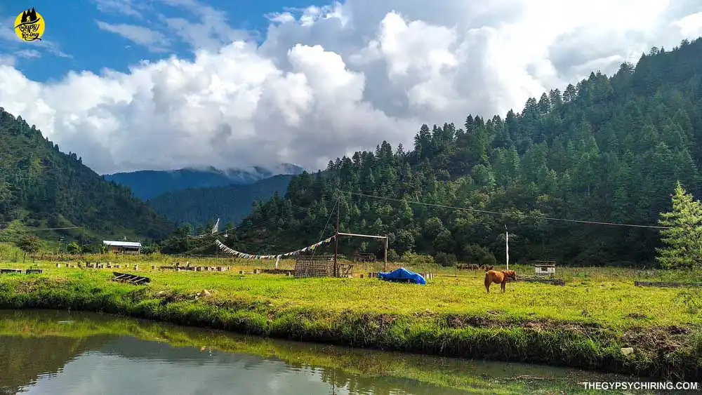 The Monpa Trail Trek from Sangti Valley Campsite in Dirang Arunachal Pradesh