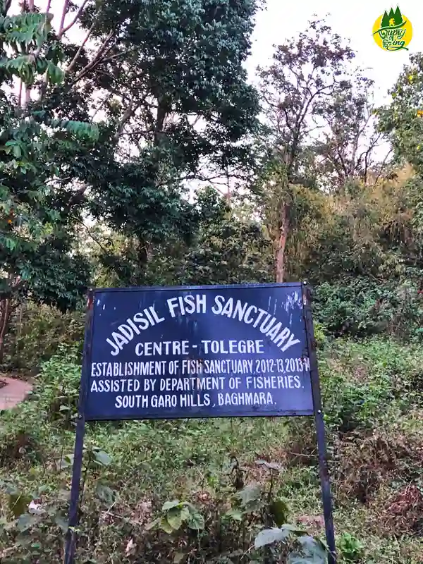 Jadisil Fish Sanctuary - Jadesil - Tolegre Garo Hills Meghalaya - The Gypsy Chiring
