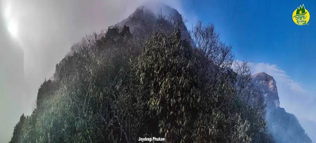 Mount Japfu Peak Trek guide by The Gypsy Chiring
