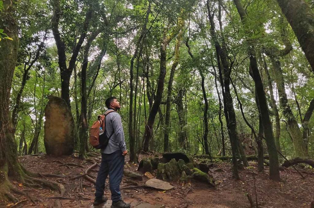 Mawphlang Sacred Forest Photo The Gypsy Chiring standing in the forest in front of the megaliths