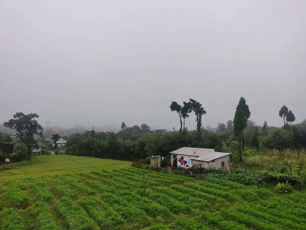 Mawphlang Village Homestay View Meghalaya trip The Gypsy Chiring