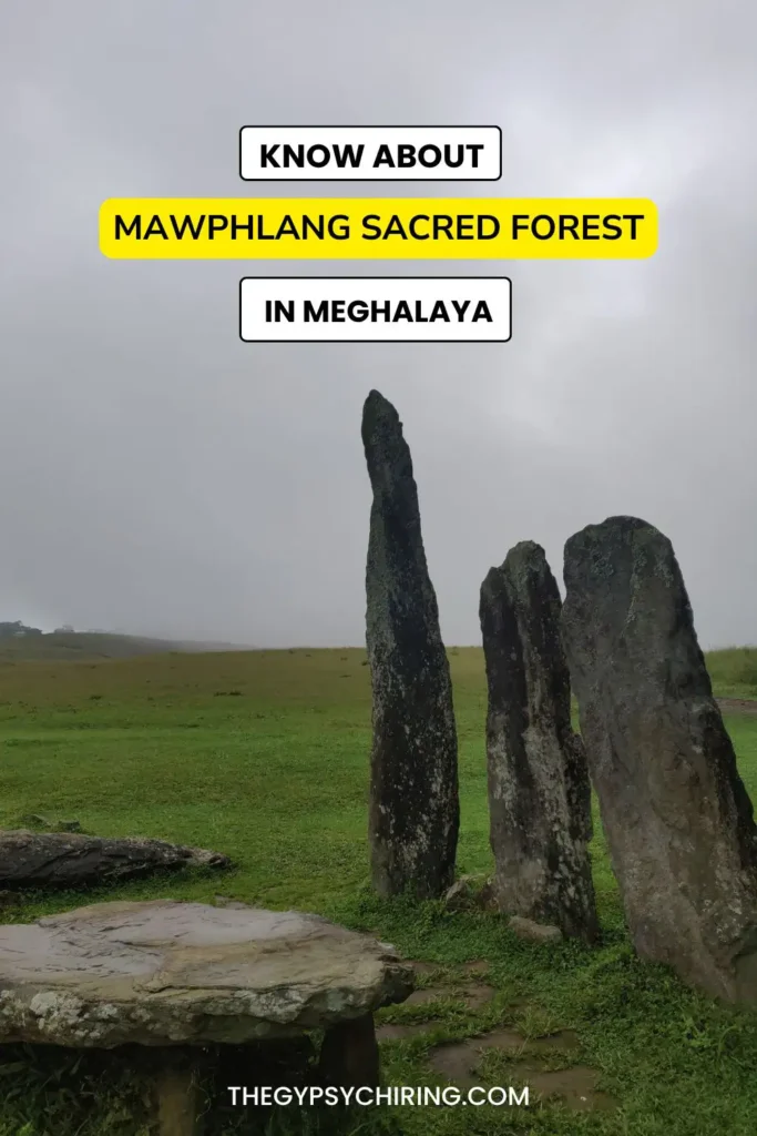 Mawphlang Sacred Forest Guide in Meghalaya The Gypsy Chiring