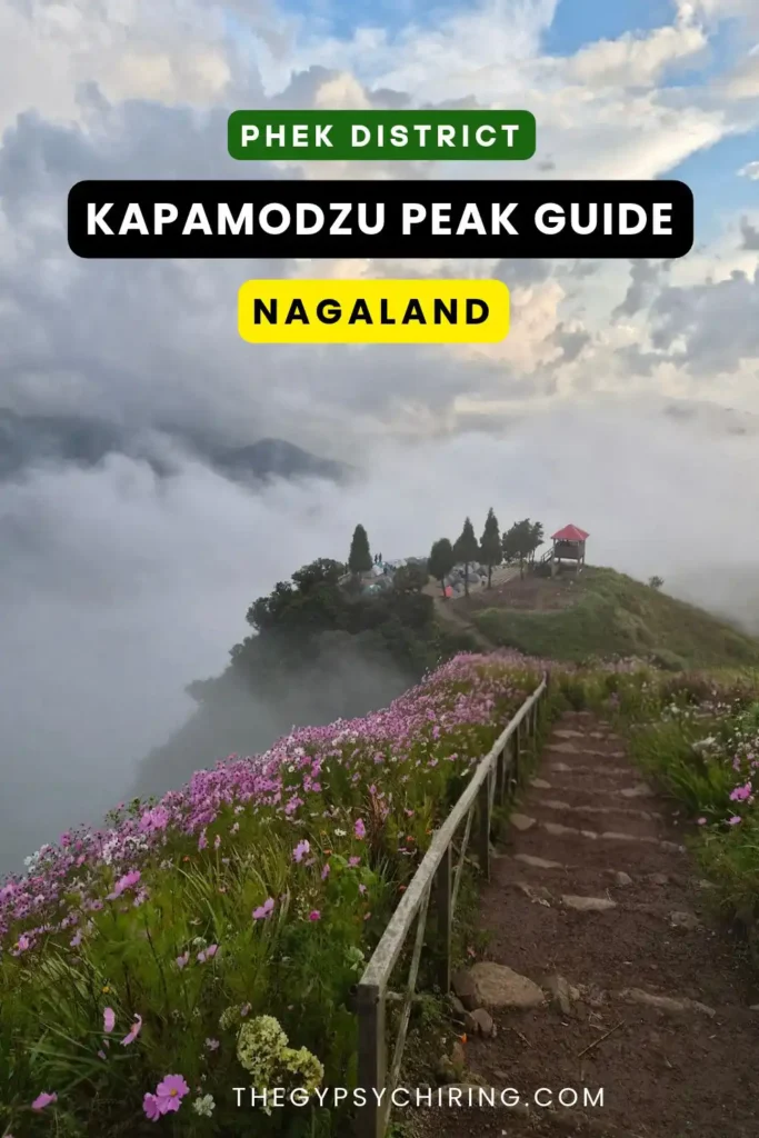 Best Time to Visit Kapamodzu Travel guide is during Flowering Season - The Gypsy Chiring