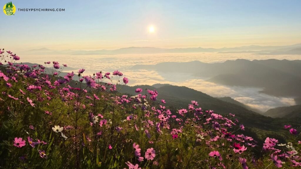 Best time to visit Kapamodzu Peak sunrise view with flowers How to reach - The Gypsy Chiring